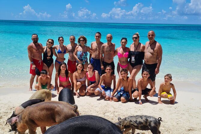 Athol Island Swimming Pigs Half-Day Boat Tour with Lunch - Key Highlights to Know Before You Go