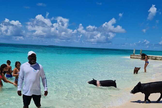 Athol Island Swimming Pigs Half-Day Boat Tour with Lunch - A Nassau Half-Day That Packs Big Variety