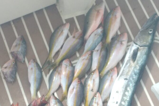 Bahamas Deep Sea Fishing - Seasonal Fishing in Nassau: Wahoo, Tuna, Skipjacks, and Marlin