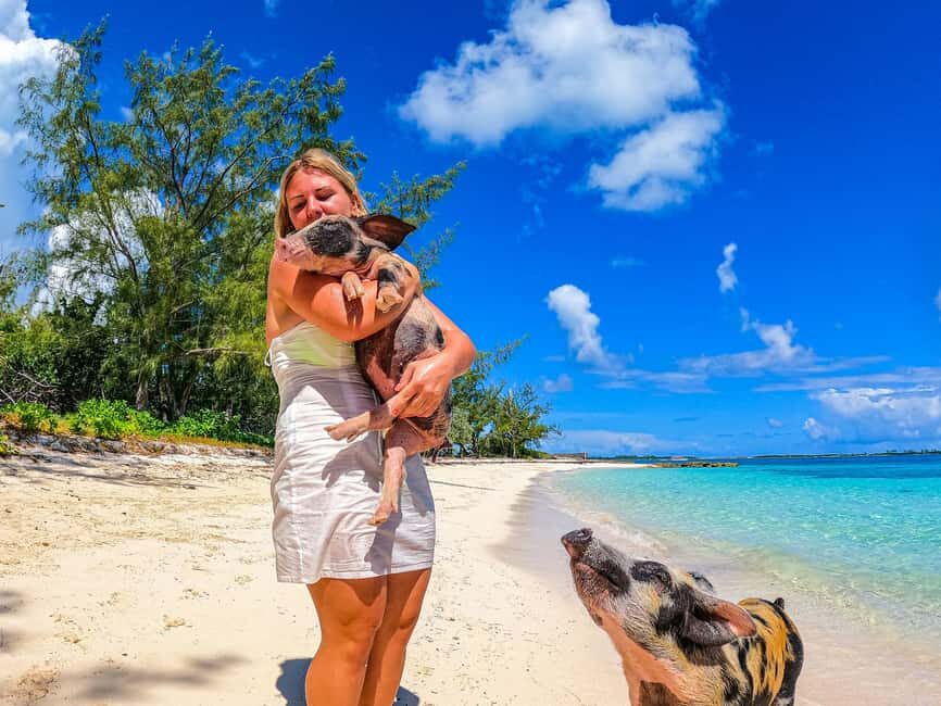 Nassau: Pigs Beach Trip by Boat with Swimming and Feeding - Timing, crowds, and why the day can run longer than you expect