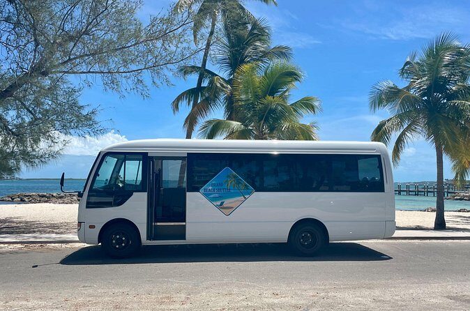 Nassau Private Airport & Cruise Port Transfer - Cruise day advantage: smoother Atlantis logistics and less line-wrangling