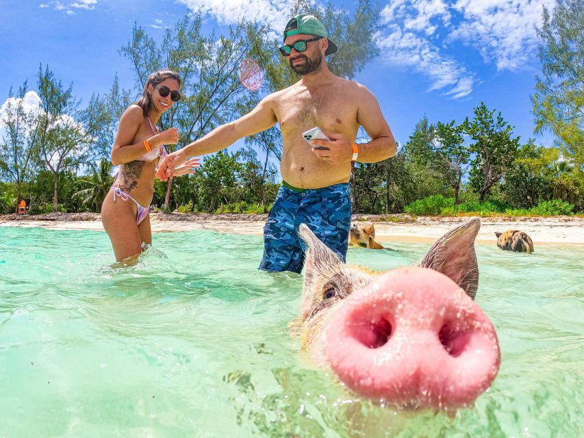 Nassau: Sun Cay and Swimming Pigs Boat Trip with Lunch - Sun Cay Beach Time: Chairs, Swims, and Optional Add-Ons