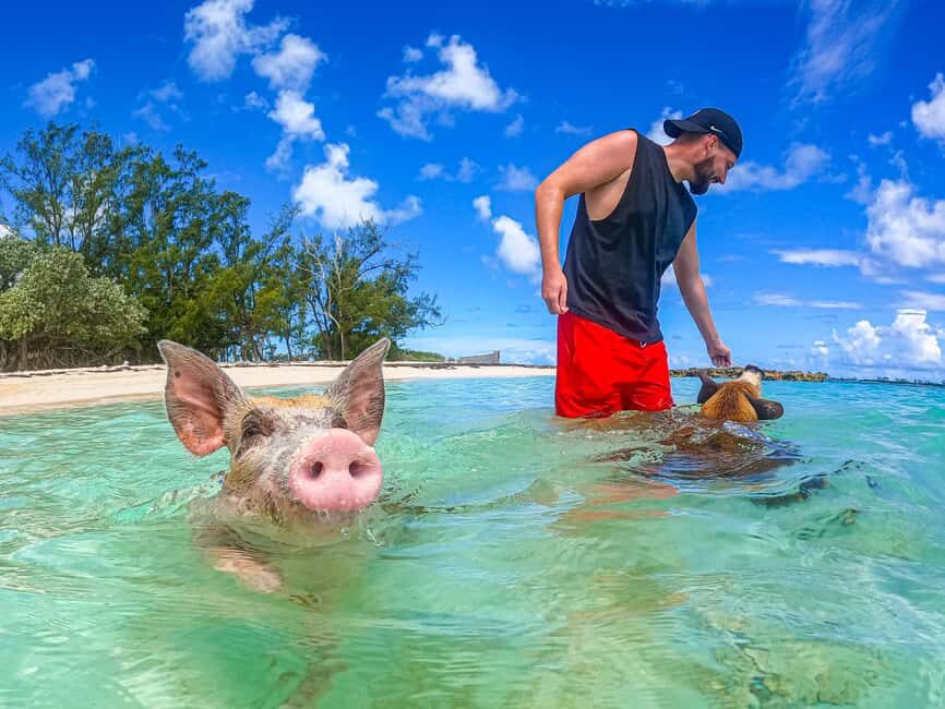Nassau: Sun Cay and Swimming Pigs Boat Trip with Lunch - The Boat Ride from Nassau: Sea Views and On-the-Water Talk