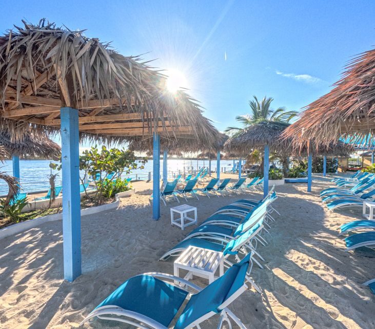 Nassau: Sun Cay Day Trip, Snorkel, Iguana Encounter, & Lunch - Iguana Habitat encounter: a short guided wildlife moment