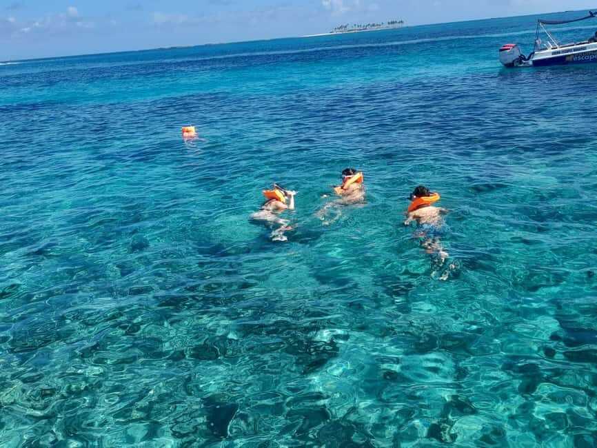 Nassau: Swimming Pigs Private Boat Tour - Up to 7 Persons - The Nassau Cruise Segment: A Quick Warm-Up