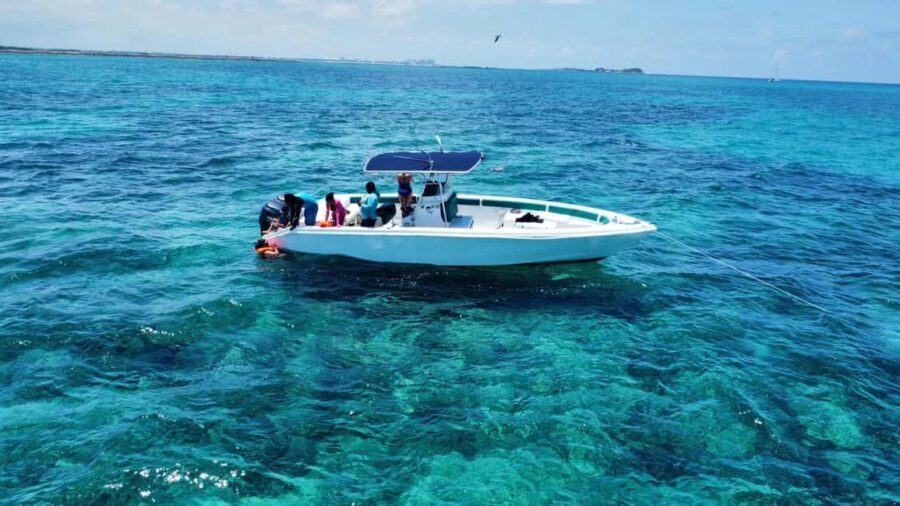 Nassau: Swimming Pigs Private Boat Tour - Up to 7 Persons - Meeting At Elizabeth on Bay: Where Your Day Starts