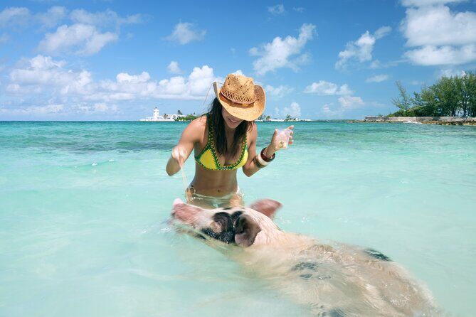 Nassau Swimming Pigs: Snorkeling, Lunch & Private Beach Club - The boat ride through Nassau Harbour, Paradise Island, and Atlantis views