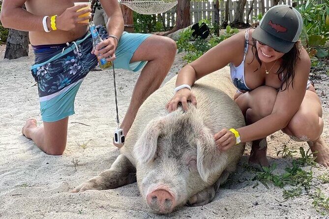 Ultimate SeaXscape Pigs/Turtles/Snorkel/Lunch/Drinks/PU/DO - Pickup, Time on the Boat, and What the Ride Feels Like