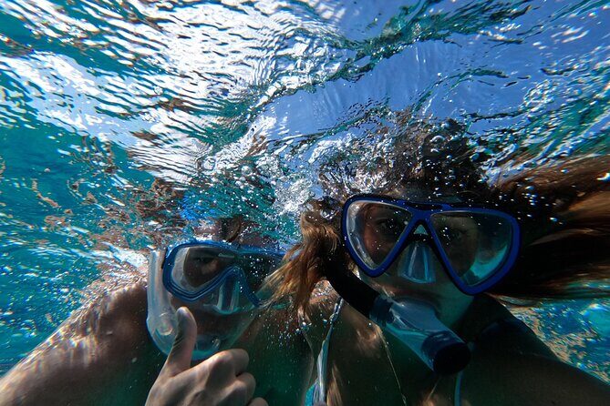 Ultimate SeaXscape Pigs/Turtles/Snorkel/Lunch/Drinks/PU/DO - Who Should Book This and Who Might Want a Different Tour